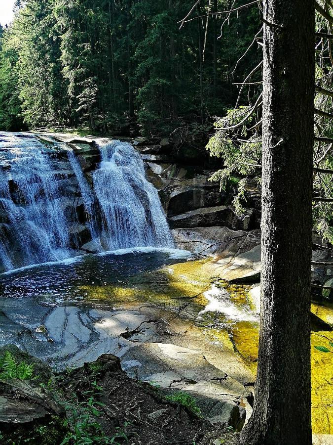 Dame Vam Pokoj - 4 Pokoje Se Sdilenou Kuchyni, Kapacita Max 9 Osob Harrachov Exteriör bild