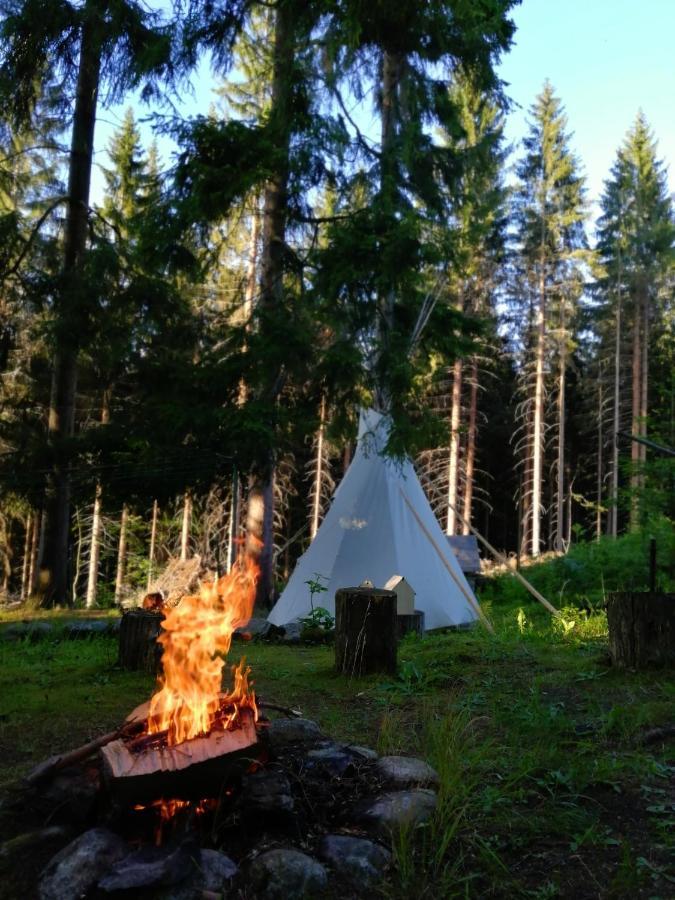Dame Vam Pokoj - 4 Pokoje Se Sdilenou Kuchyni, Kapacita Max 9 Osob Harrachov Exteriör bild