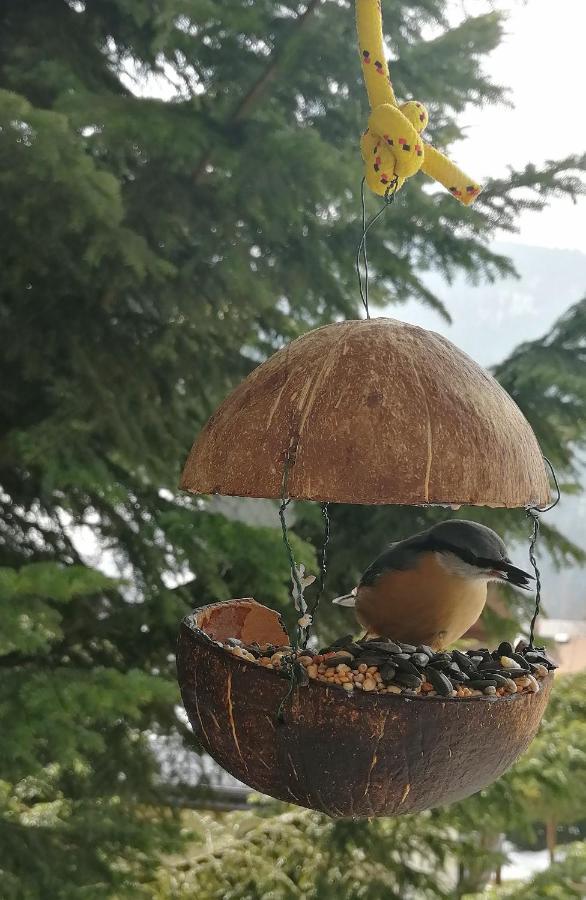 Dame Vam Pokoj - 4 Pokoje Se Sdilenou Kuchyni, Kapacita Max 9 Osob Harrachov Exteriör bild