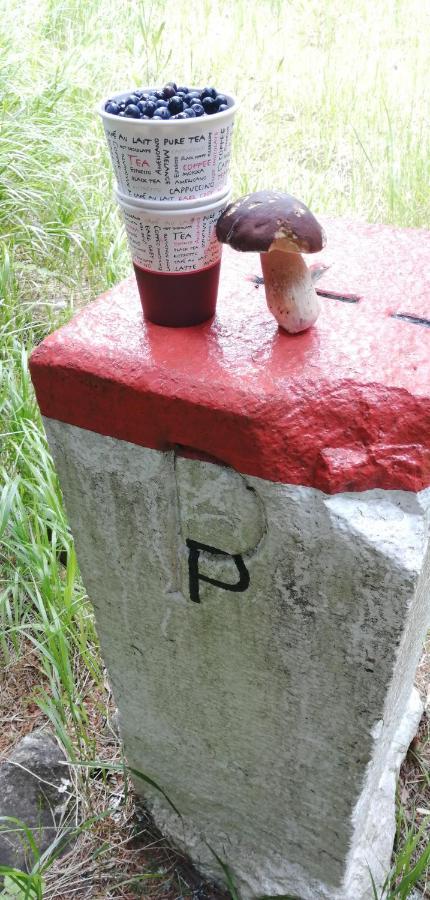 Dame Vam Pokoj - 4 Pokoje Se Sdilenou Kuchyni, Kapacita Max 9 Osob Harrachov Exteriör bild