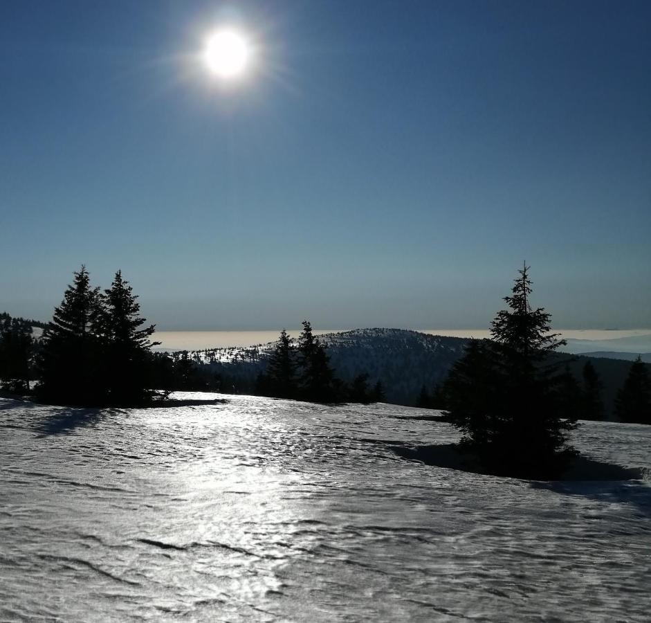Dame Vam Pokoj - 4 Pokoje Se Sdilenou Kuchyni, Kapacita Max 9 Osob Harrachov Exteriör bild