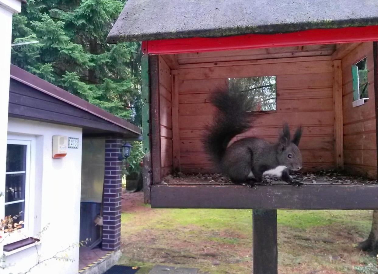 Dame Vam Pokoj - 4 Pokoje Se Sdilenou Kuchyni, Kapacita Max 9 Osob Harrachov Exteriör bild