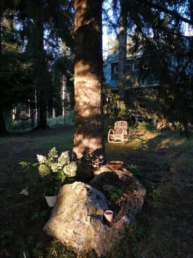 Dame Vam Pokoj - 4 Pokoje Se Sdilenou Kuchyni, Kapacita Max 9 Osob Harrachov Exteriör bild