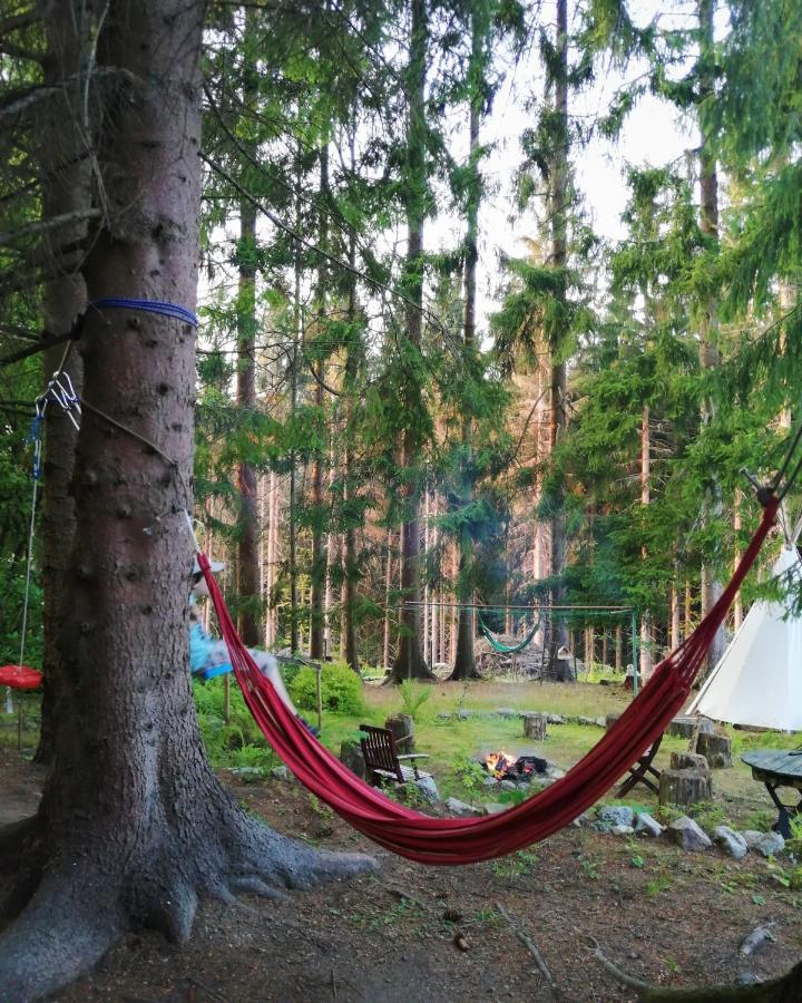 Dame Vam Pokoj - 4 Pokoje Se Sdilenou Kuchyni, Kapacita Max 9 Osob Harrachov Exteriör bild