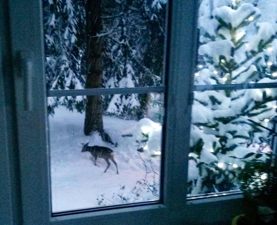 Dame Vam Pokoj - 4 Pokoje Se Sdilenou Kuchyni, Kapacita Max 9 Osob Harrachov Exteriör bild
